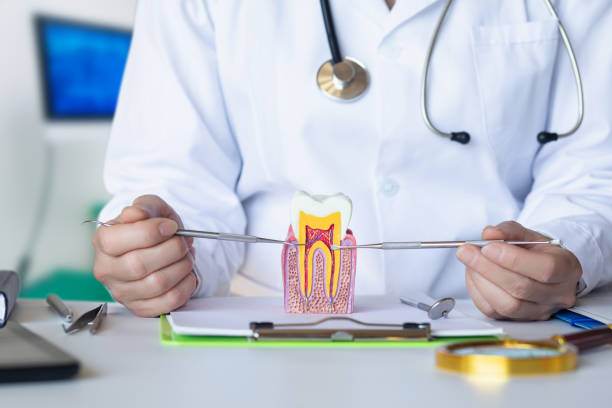 Best Knocked-Out Tooth Emergency  in Wind Gap, PA